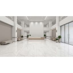 DUCHESSA SILVER PL 24X47 (Discontinued) - ms0ubelcsbqi0czw7mfd@2x.jpg