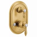 Weymouth 2 Function Pressure Balanced Valve Trim Only with Double Lever Handle, Integrated Diverter - Less Rough In - msctdteekc5j9lwov9xe@2x.jpg