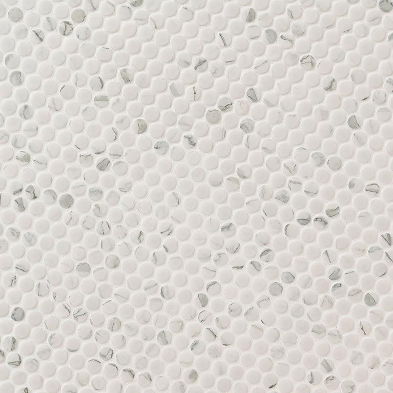 Carrara Matte Penny Round - mtkallc8tww4mflvpect@2x.jpg