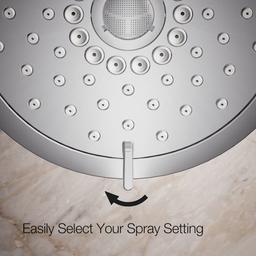 Forte 1.75 GPM Multi-Function Shower Head - mueaa2lonpcv02pld66w@2x.jpg