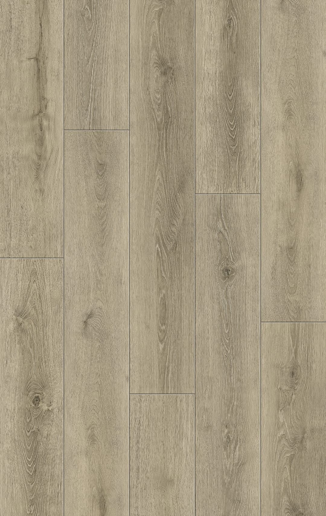 Canyon Oak - mwg2qeb9e7o48z2hgfij@2x.jpg