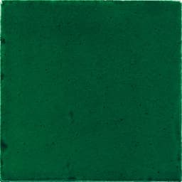 Natural Hues Fern Square 12X12 Matte - mwia4xavhnadyvkuq3ic@2x.jpg