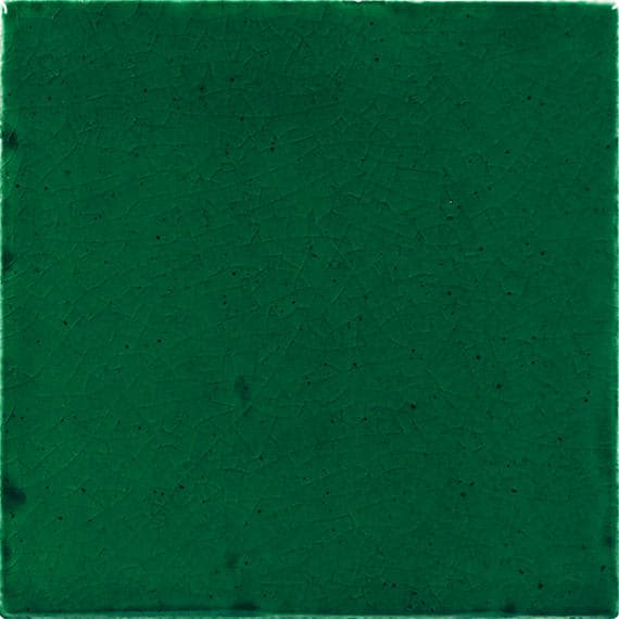 Natural Hues Fern Square 12X12 Matte - mwia4xavhnadyvkuq3ic@2x.jpg