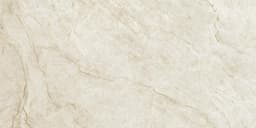 Taj Mahal Silk - mwx1fyskvwixppgtnfw1@2x.jpg