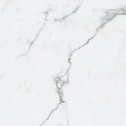BIANCO VENATINO UP 24X24 R - mx3kyzhspbrpyepneska@2x.jpg
