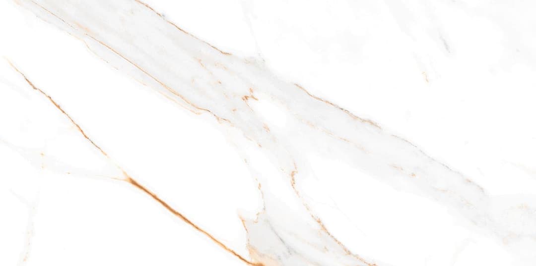 Regal Carrara - mxhdgtoch62okptbsvvq@2x.jpg