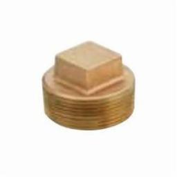 Plug, 1/2 in, MNPT, Lead Free Brass, Rough Brass - mxjr4rzademovghnqmcw@2x.jpg