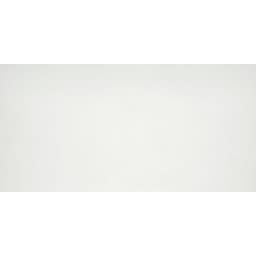 CITIZEN CIVILIAN MT 12X24 - mxxnthvjgorll4ikwyyp@2x.jpg