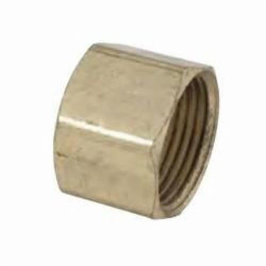 Cap, 1/4 in, Comp, Brass, Rough Brass, Domestic - mynwvvepqb1wuh0g5ezy@2x.jpg