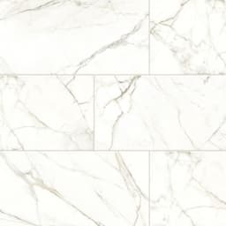 PARKVIEW WHITE PL 12X24 - n2dut5kjlehs6meflnuh@2x.jpg