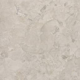 Forgehaus Terra Rectangle 12X24 Matte - n2zi6mvhvrmoydhlfjun@2x.jpg