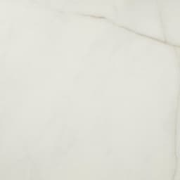 Mythique Marble Calacatta Venecia Rectangle 12X24 Polished - n4xyx4tvp2cdxbw0i0kp@2x.jpg