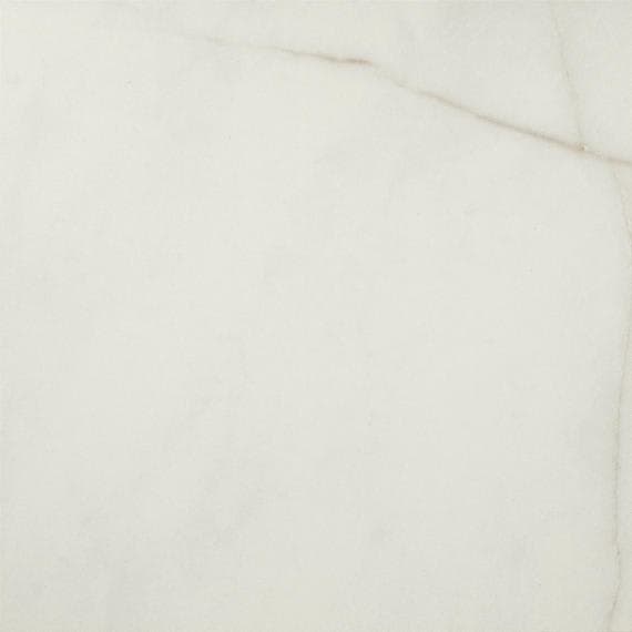 Mythique Marble Calacatta Venecia Rectangle 12X24 Polished - n4xyx4tvp2cdxbw0i0kp@2x.jpg