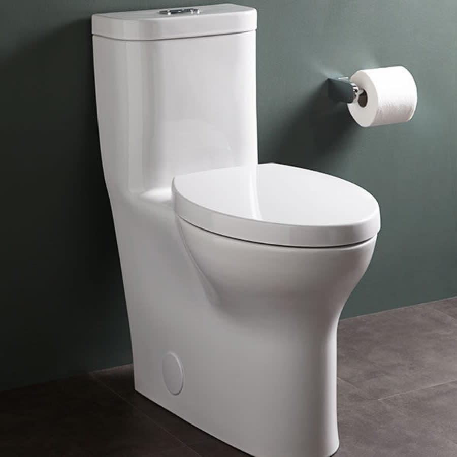 Lyndon Dual Flush One Piece Elongated Toilet with EverClean - Seat Included - n6r49brk8o6prresyvdk@2x.jpg