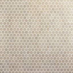 Perpetuo Elegant Beige Hexagon 1.5X1.5 Matte - na02xuclhu1rkuzcyavr@2x.jpg