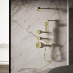 Awaken 1.5 GPM Single Function Shower Head - nc3hdetwbbslbpg0seiy@2x.jpg