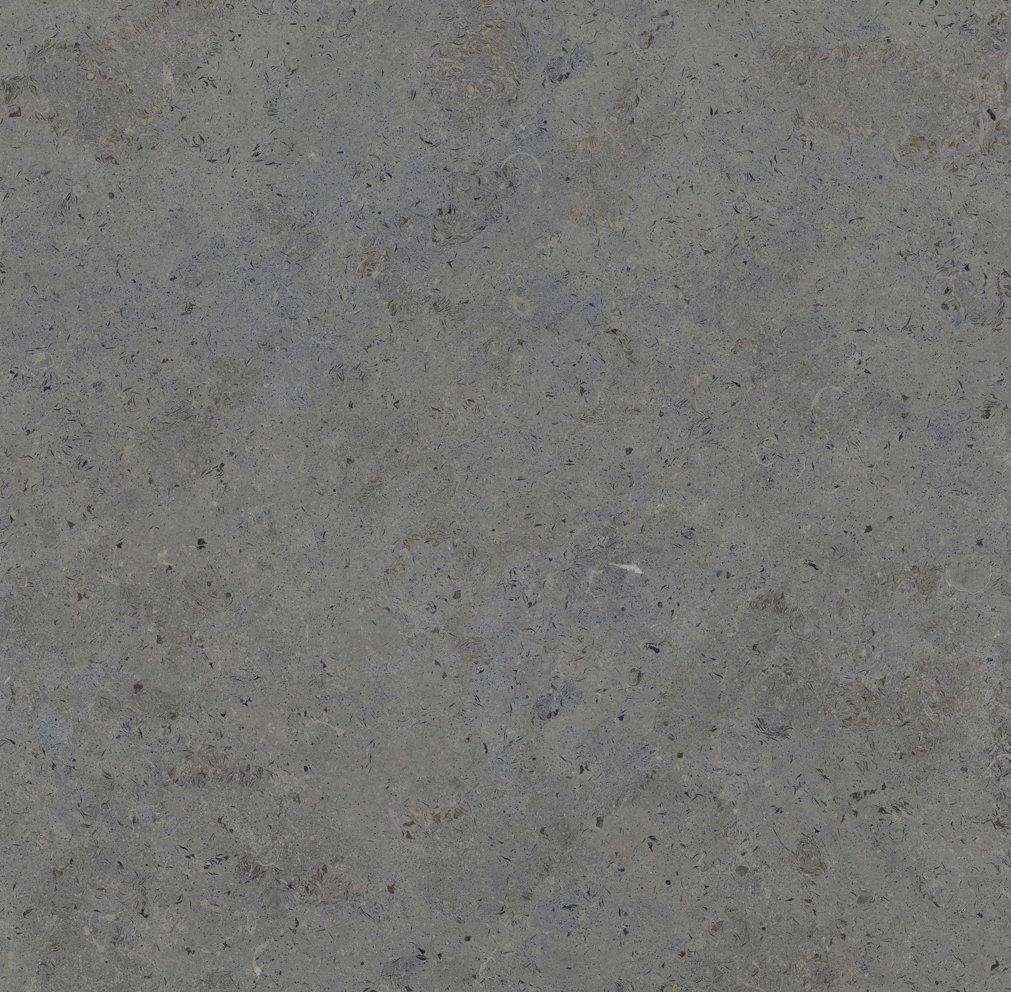 LIMESTONE ANTHRACITE 36X36