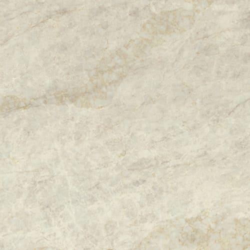 Taj Duna - necpllwl9yaik6pswpru@2x.jpg