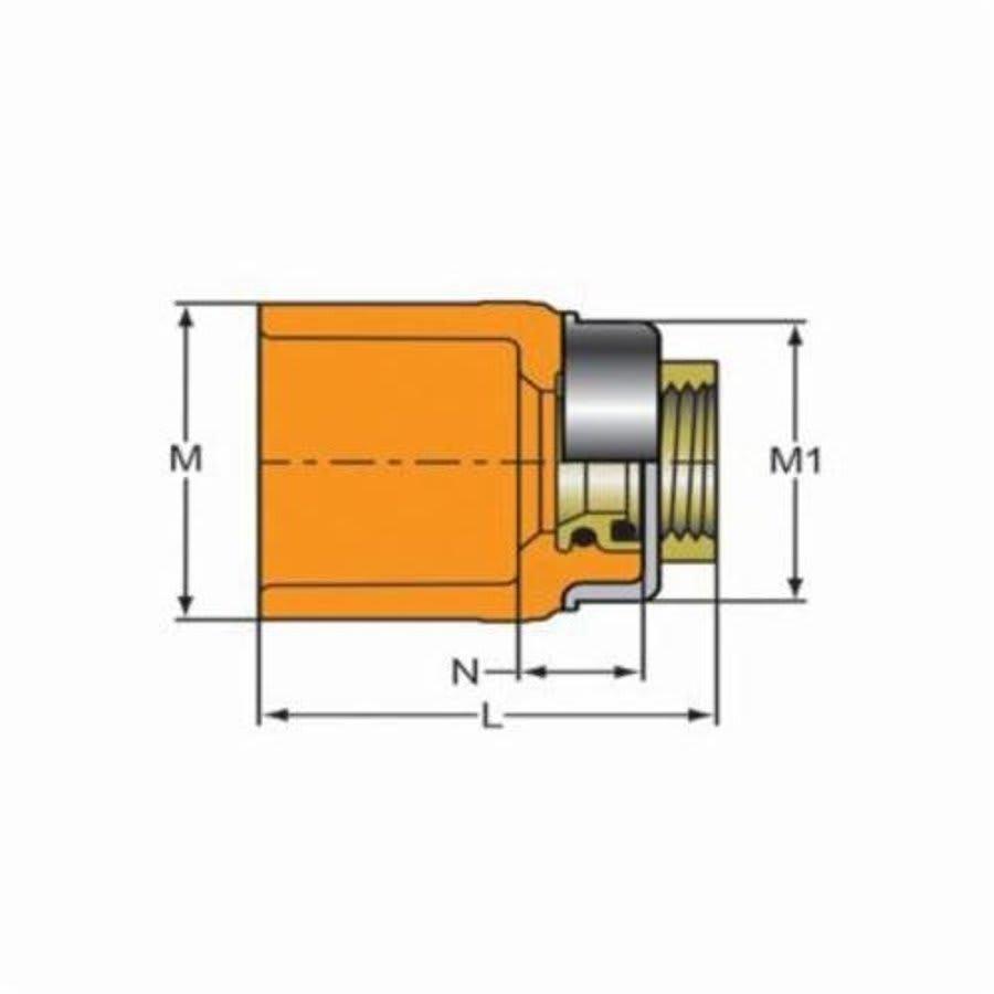 FlameGuard® TorqueSafe™ Adapter, 1 x 1/2 in, Socket x Brass FNPT, CPVC - nenxirclv8dkq8yuvkbz@2x.jpg