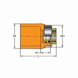 FlameGuard® TorqueSafe™ Adapter, 1 x 1/2 in, Socket x Brass FNPT, CPVC - nenxirclv8dkq8yuvkbz@2x.jpg