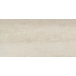 PRODIGY CRUZ PL 12X24 - nez6kmfbak7t5dqtzb2n@2x.jpg