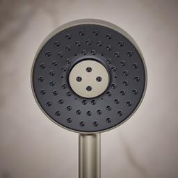 Statement 1.75 GPM Multi Function Hand Shower with MasterClean Sprayface and Katalyst Air Induction Technology - nftdvgqjllddd2rbxbkm@2x.jpg