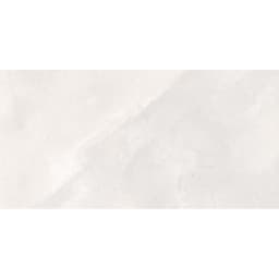 VERNON WHITE 12X24 - nfvcuqnp63cpee46seo8@2x.jpg