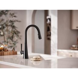 Kurv 1.5 GPM Single Hole Pull Down Kitchen Faucet - ngkodl5c00fbjdbps7ax@2x.jpg