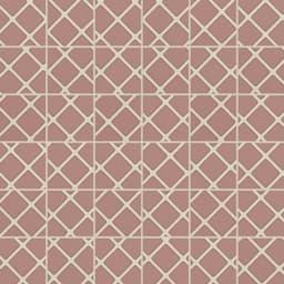 VECTORA PINK GL MO 2X2/12X12 - ngqgitged3ptbg0puvhj@2x.jpg