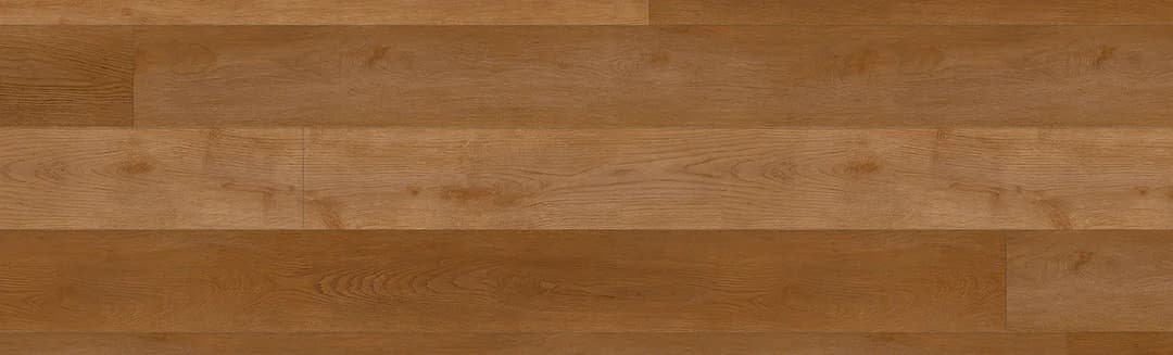 Silver Birch - nh8nfo2rdqsu8hox31z3@2x.jpg