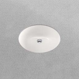 Comstock 17" Oval Vitreous China Undermount Bathroom Sink with Overflow - nhfncovipgvxe94txx6a@2x.jpg