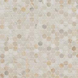 Athena Gold Penny Round Honed - nhgxm75xsjmgfiw9xpjz_800x500@2x.jpg
