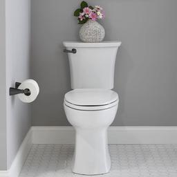 Edgemere Wall Mounted Pivoting Toilet Paper Holder - nip6znn4lekntic4ddqe_x500.jpg