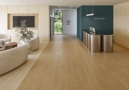 IRIS PALM COAST - njapmagl4zfe4cv7mquo@2x.jpg