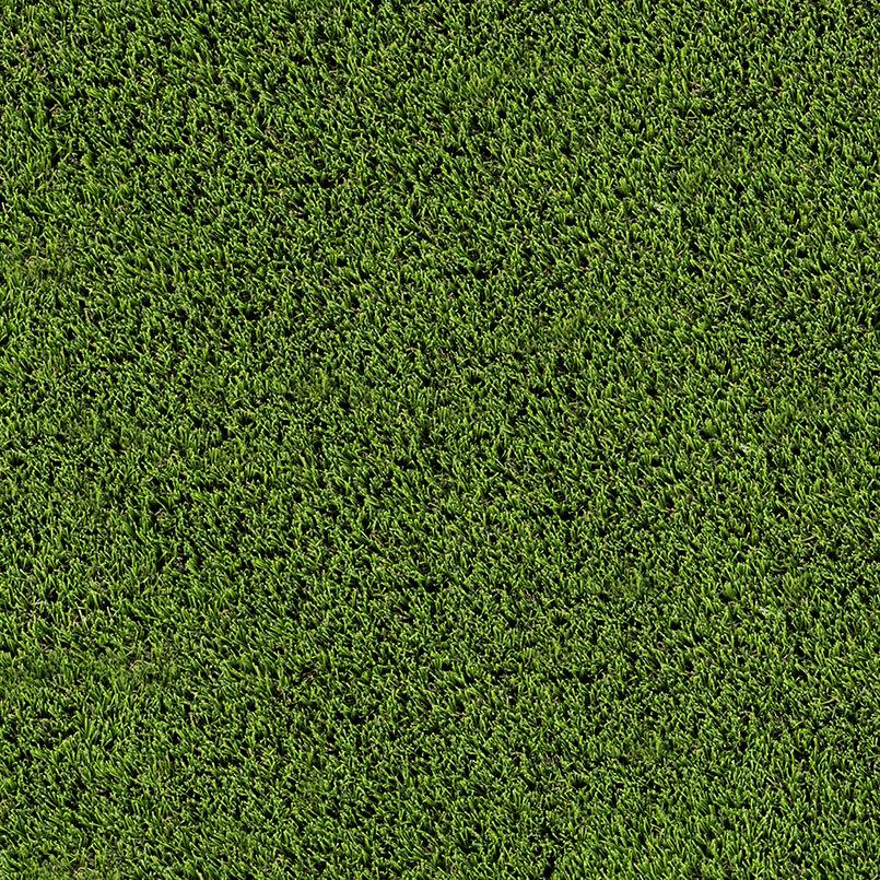 EMERALD GREEN TURF 110 - nmzgtwyooefu8bprsohk@2x.jpg