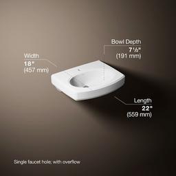 Pinoir 18" Wall Mounted Bathroom Sink with 1 Hole Drilled and Overflow - nnnswt4toiwtluacp8nn@2x.jpg