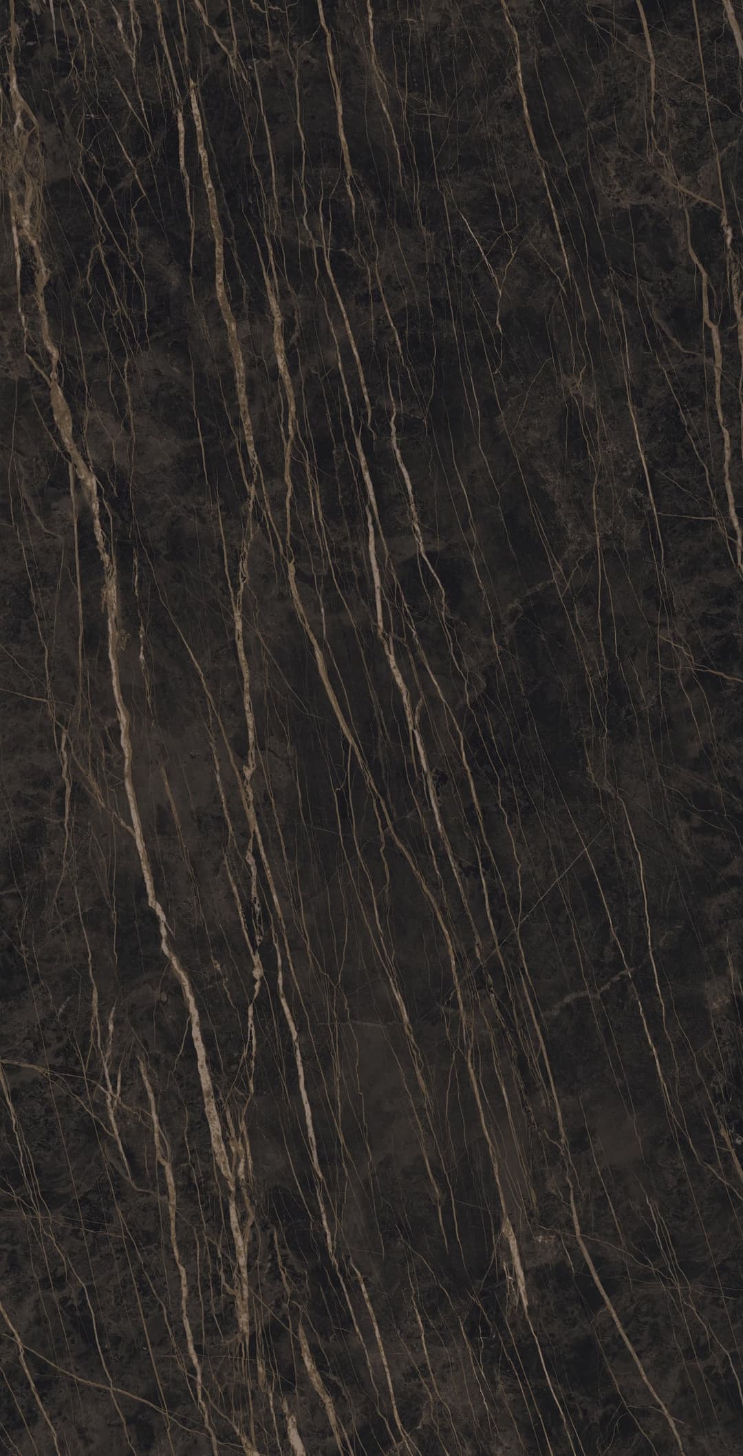 Noir Desir - noir-desir-natural-0@2x.avif