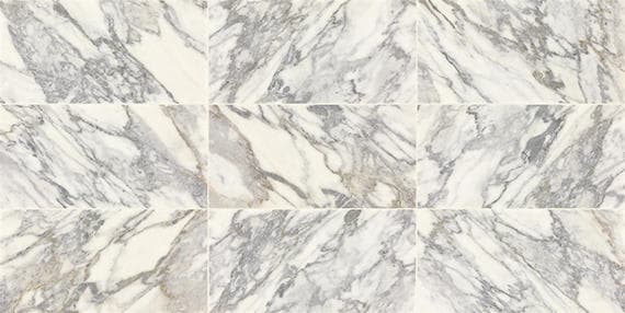 Eclessia Marble Arabescato Argento Rectangle 12X24 Polished
