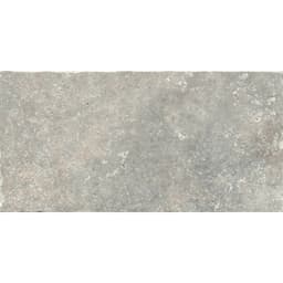 TRAV ANCIENT TUMB SILVER 8X16 - npda2xwftaprkghpauhd@2x.jpg