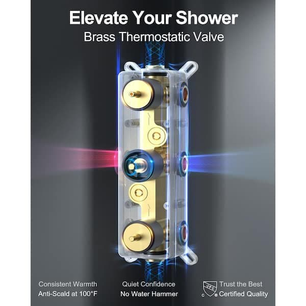 GRANDJOY ZenithRain Thermostatic Dual Showers 8-spray 12 in. Shower System with Hand Shower in Matte Black Valve Included SGF10GJ-17-BL12 - nqeevceedu2o0mie14mk@2x.jpg
