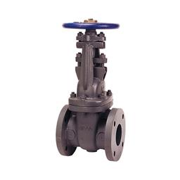617 OS&Y Gate Valve, 2-1/2 in, Flange, Cast Iron - nqgy0uwymknpn94pygax@2x.jpg