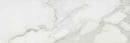 Platinum Magnolia Rectangle 12X24 Matte - nt7l0j6edezyfcirotag@2x.jpg