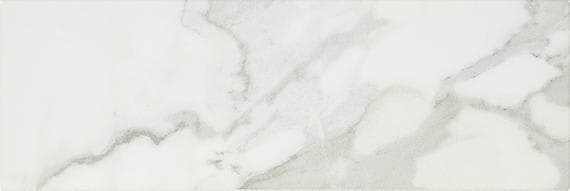 Platinum Magnolia Rectangle 12X24 Matte - nt7l0j6edezyfcirotag@2x.jpg
