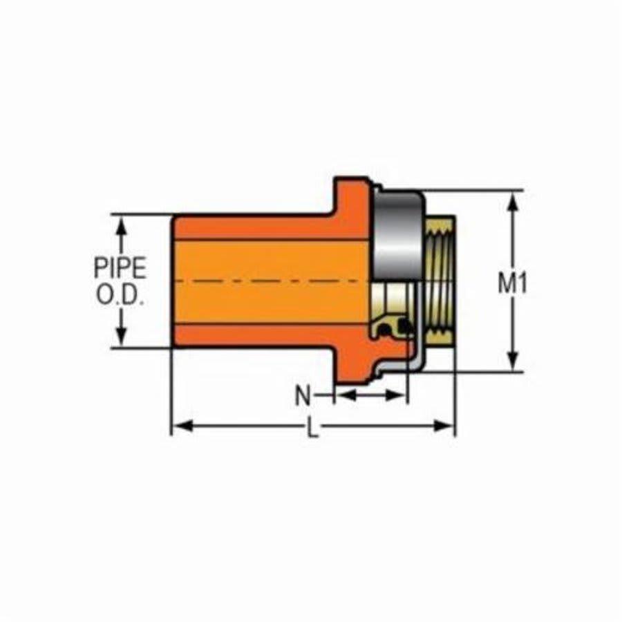FlameGuard® Adapter, 1 x 1/2 in, Spigot x Brass FNPT, CPVC - nughsx5rya9kbgidcmla@2x.jpg