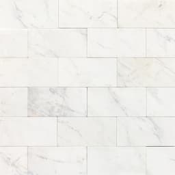 Marble Contempo White Square 12X12 Honed - nvd6wnsulmwuxouqjqik@2x.jpg