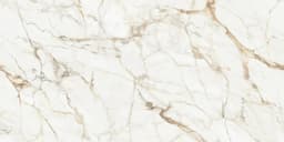 Calacatta Gold Polished - nvphlomtdmqevf49gard@2x.jpg