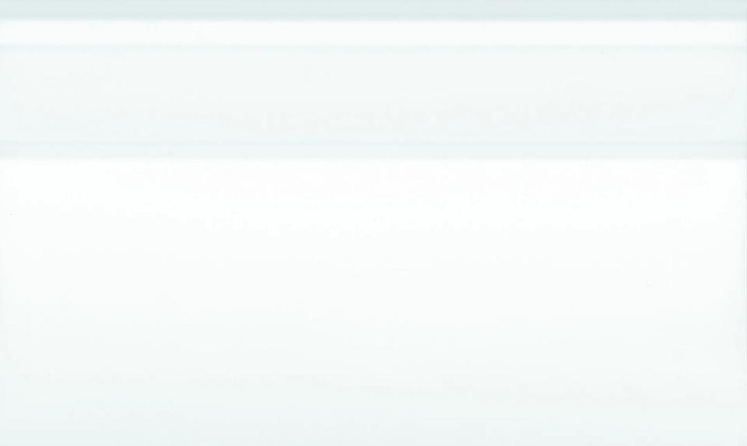 BG WHITE ICE 6X10 SKIRTING BASEBOARD - nvyzyxwfbjedaqo1gkpj@2x.jpg
