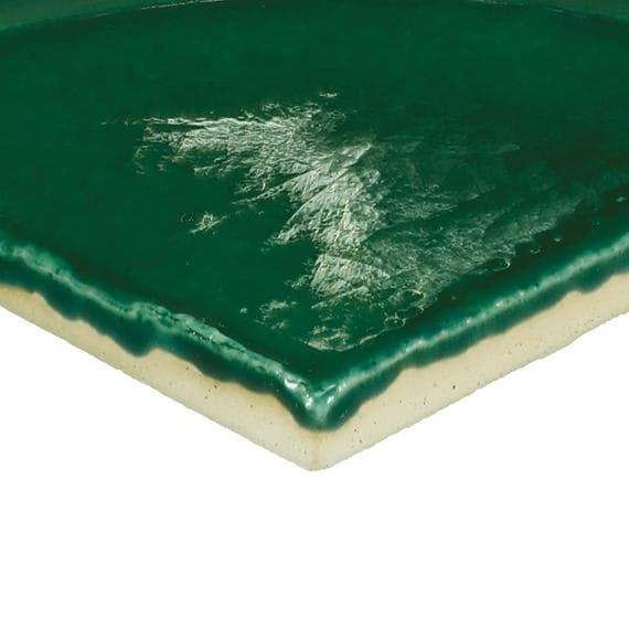 Natural Hues Fern Square 12X12 Matte - nx8hnsq5vipi2in1ttvf@2x.jpg