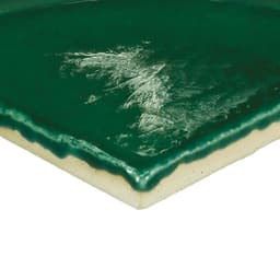 Natural Hues Fern Square 12X12 Matte - nx8hnsq5vipi2in1ttvf@2x.jpg