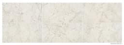 Mythique Marble Altissimo Square 12X12 Matte - nx9ybilncec7t15fpung@2x.jpg
